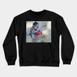 Monkey Crewneck Sweatshirt